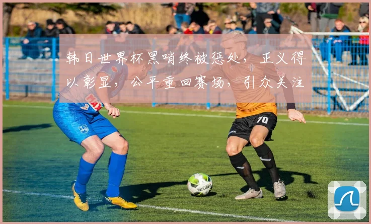 韩日世界杯黑哨终被惩处，正义得以彰显，公平重回赛场，引众关注。