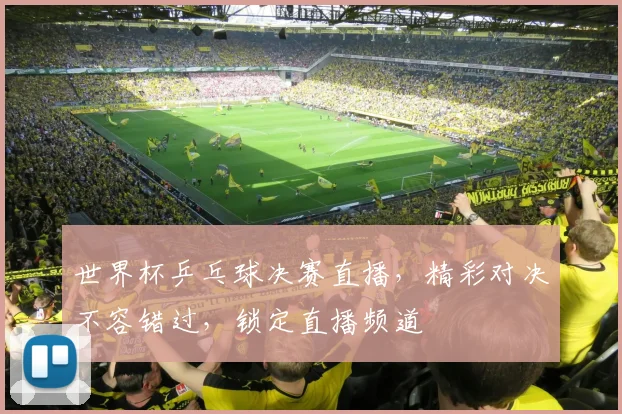 世界杯乒乓球决赛直播，精彩对决不容错过，锁定直播频道